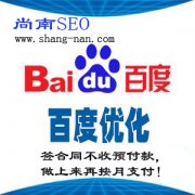 我想做SEO网站排名优化-SEO信息